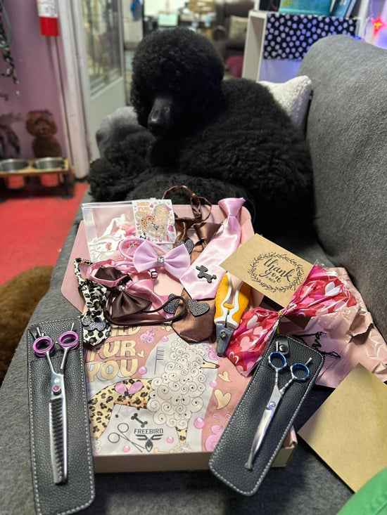 Wild Fur You/Wild About Hair ~ 🌟 The Wild Box Is Back 3 Days Only!