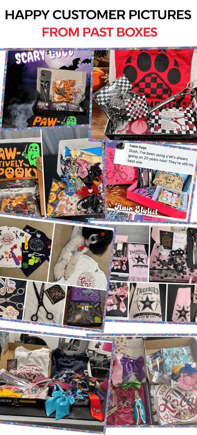 🌴 Summer Slice Mystery Box – 2 Sizzling Shears + A Whole Island of Extras 🏝️🔥